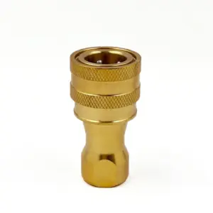 IBB 10 F NPT38 1