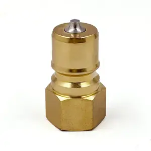 IBB 10 M NPT38