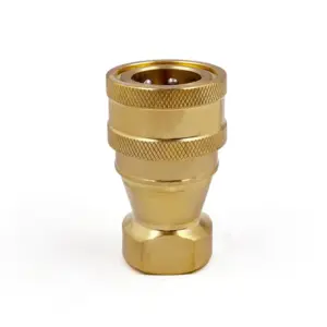 IBB 12 F NPT12 1