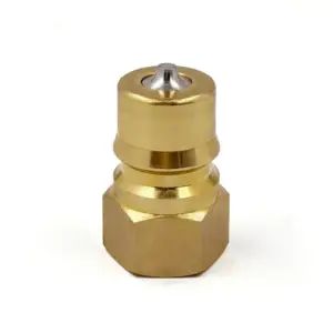 IBB 12 M NPT12 1