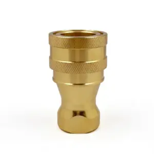 IBB 19 F NPT34 1